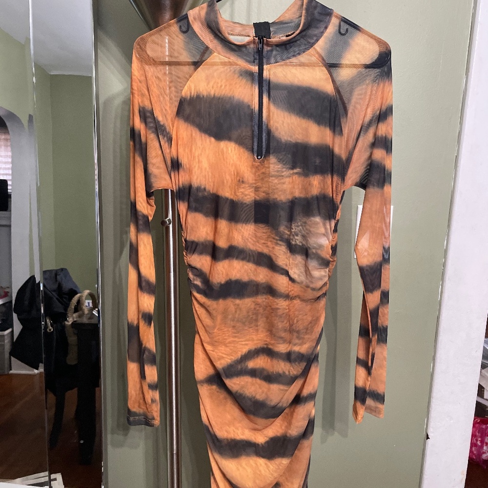 Sheer Print Dress